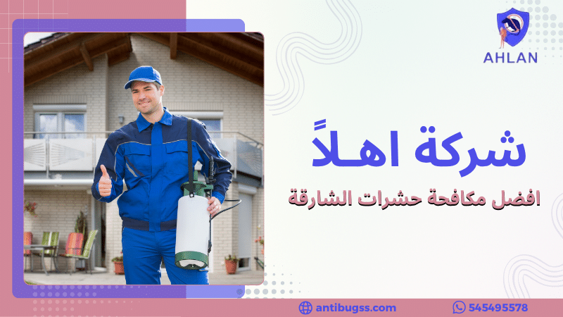 افضل مكافحة حشرات الشارقة