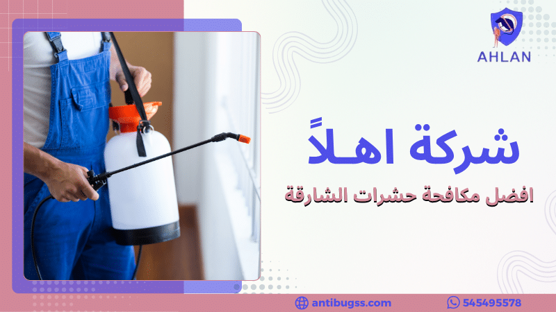 افضل مكافحة حشرات الشارقة