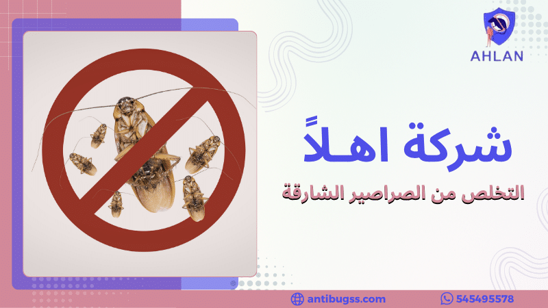 التخلص من الصراصير الشارقة