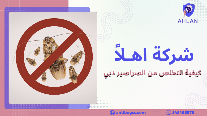 كيفية التخلص من الصراصير دبي