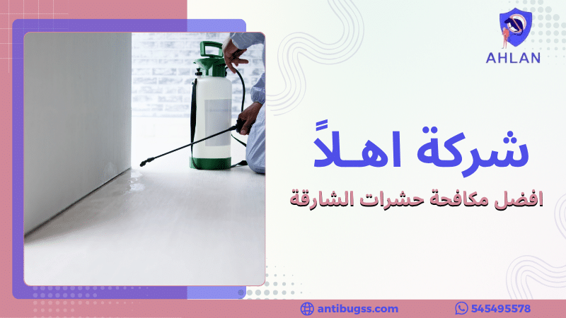 افضل مكافحة حشرات الشارقة