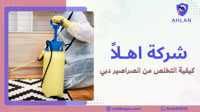 كيفية التخلص من الصراصير دبي