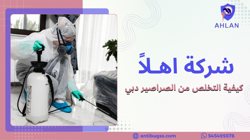 كيفية التخلص من الصراصير دبي