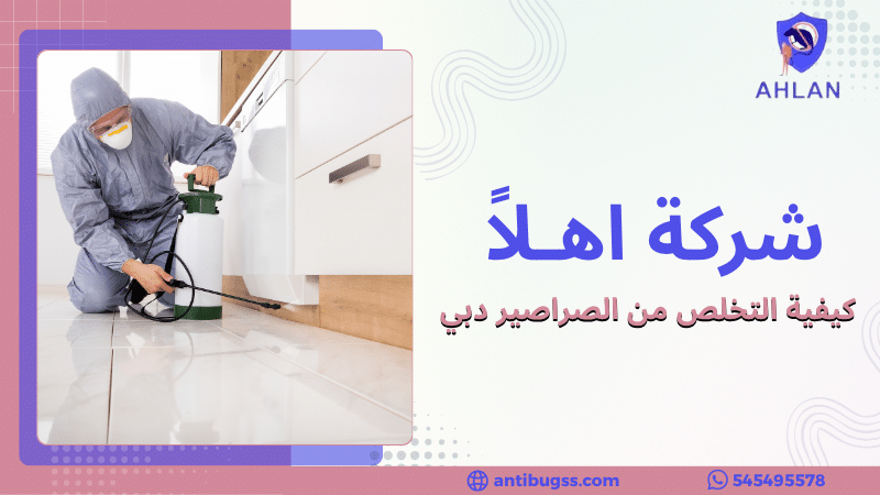 كيفية التخلص من الصراصير الشارقة