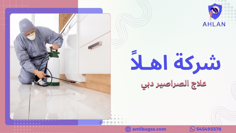 علاج الصراصير دبي