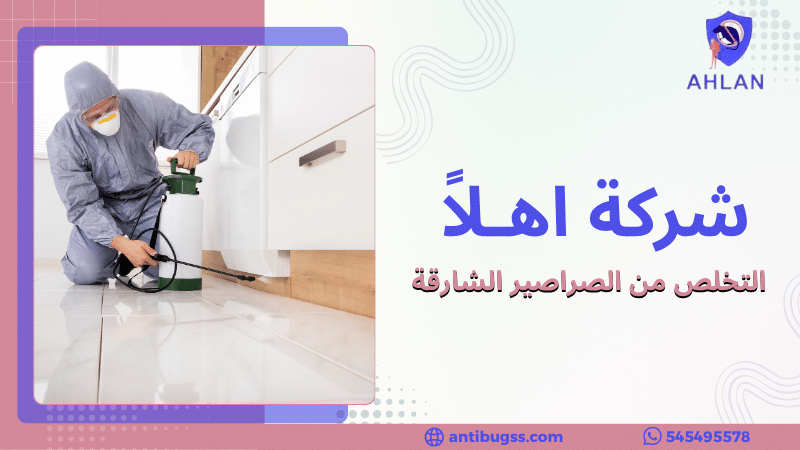التخلص من الصراصير الشارقة