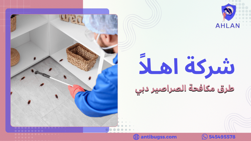 طرق مكافحة الصراصير دبي