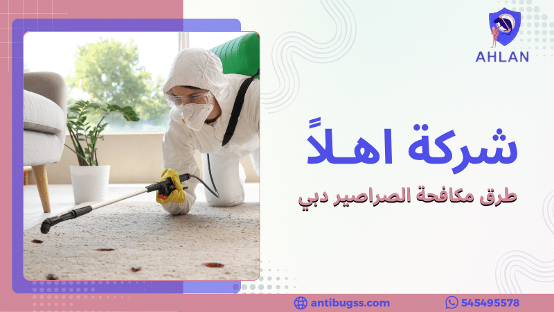 طرق مكافحة الصراصير دبي