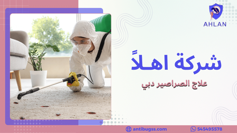 علاج الصراصير دبي