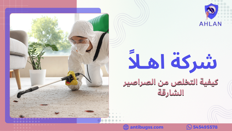 كيفية التخلص من الصراصير الشارقة