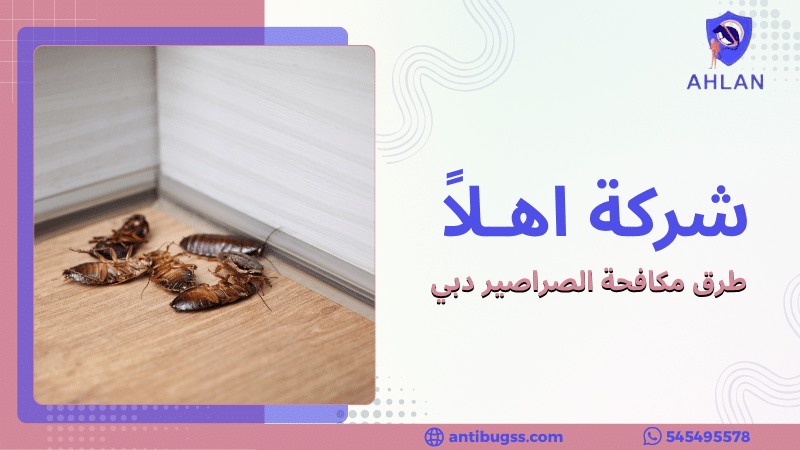 طرق مكافحة الصراصير دبي