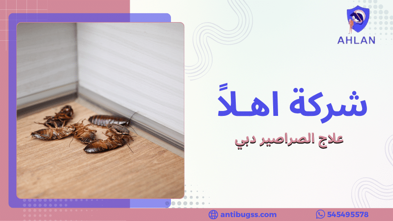 علاج الصراصير دبي