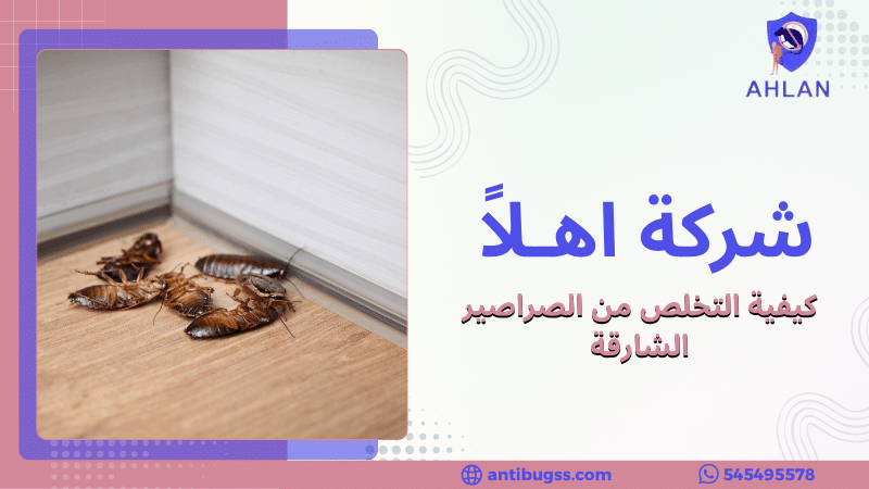 كيفية التخلص من الصراصير الشارقة