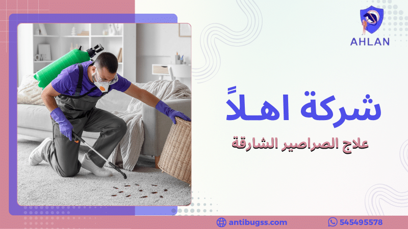 علاج الصراصير الشارقة