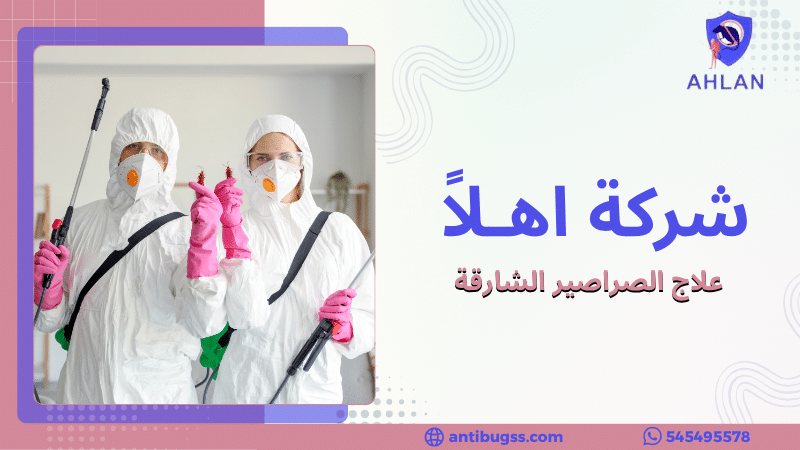 علاج الصراصير الشارقة