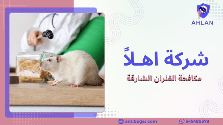 مكافحة الفئران الشارقة
