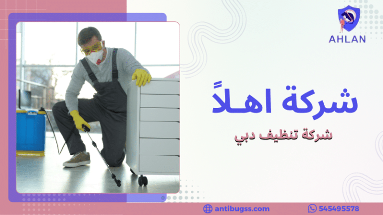 فريق تنظيف محترف يقوم بتنظيف منزل فاخر في دبي باستخدام معدات حديثة ومواد آمنة