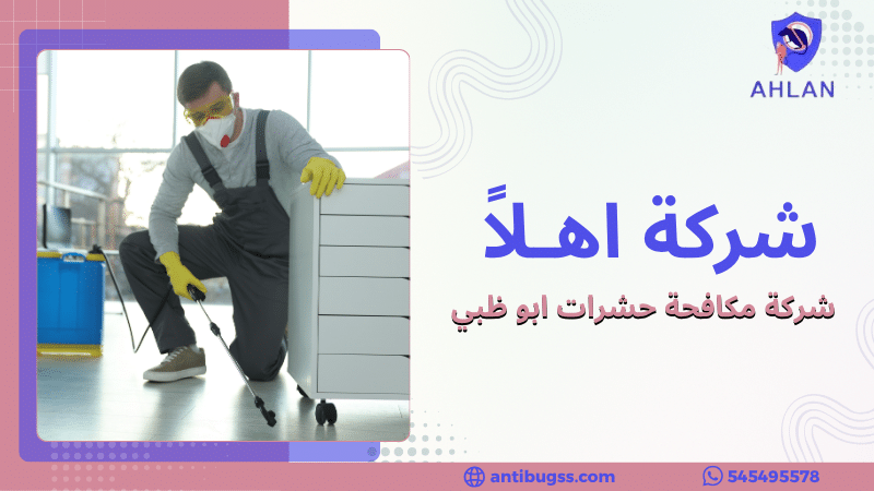 شركة مكافحة حشرات أبو ظبي تقوم برش المبيدات داخل المنازل