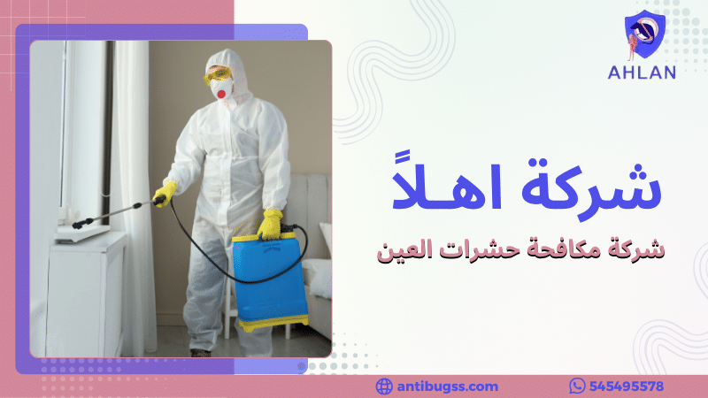 شركة مكافحة حشرات العين تقوم برش مبيدات آمنة داخل المنازل