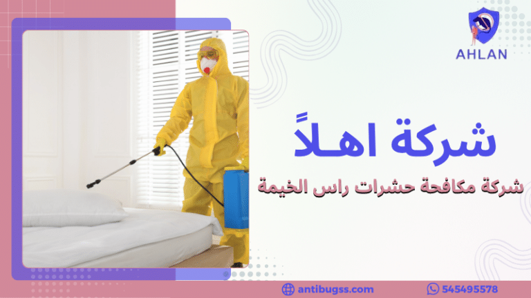 شركة مكافحة حشرات راس الخيمة تقوم برش المبيدات داخل المنازل