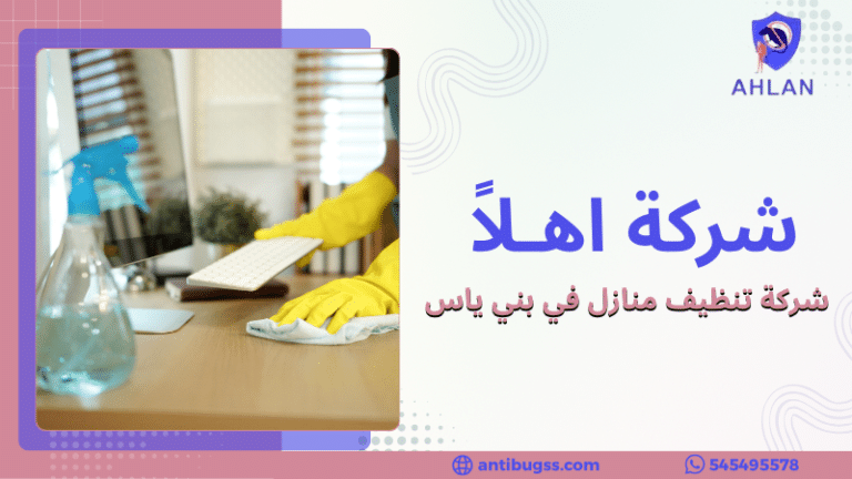 شركة تنظيف منازل في بني ياس