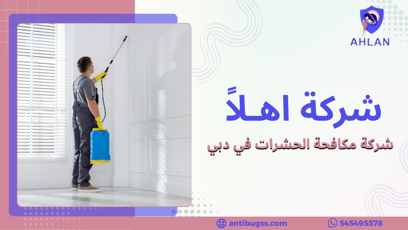 شركة مكافحة الحشرات في دبي