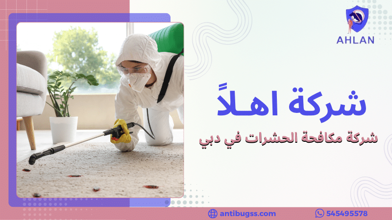 شركة مكافحة الحشرات في دبي