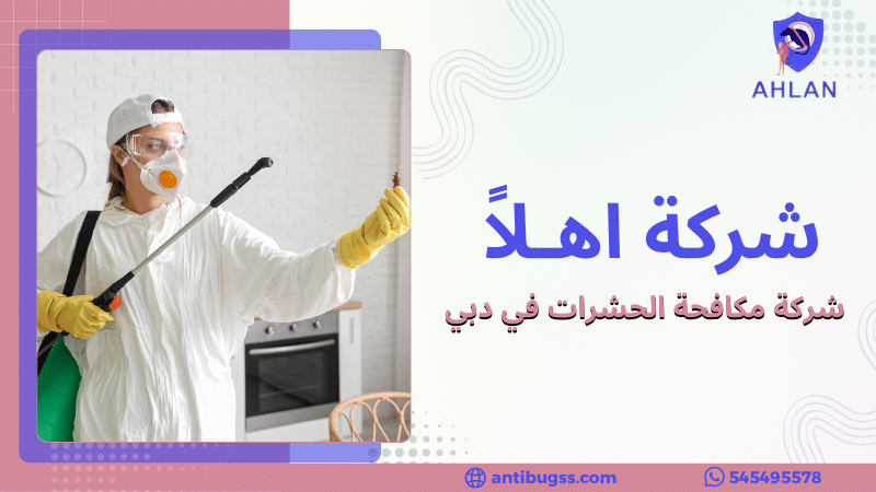 شركة مكافحة الحشرات في دبي