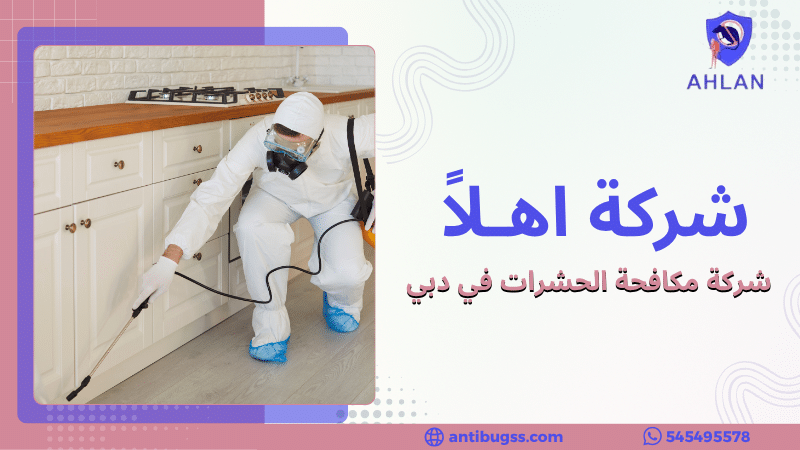 شركة مكافحة الحشرات في دبي