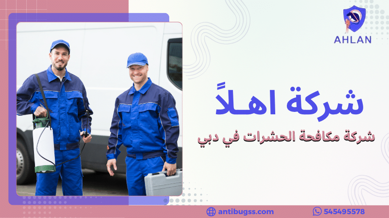 شركة مكافحة الحشرات في دبي