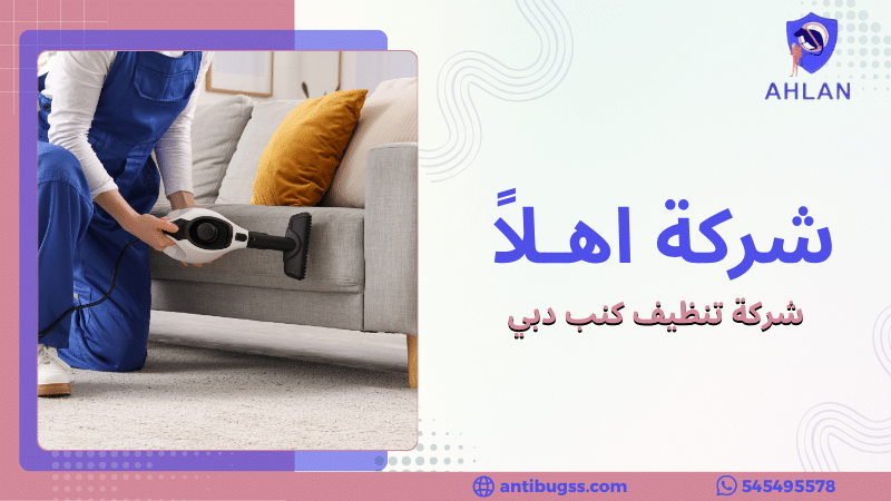 شركة مكافحة الحشرات في دبي