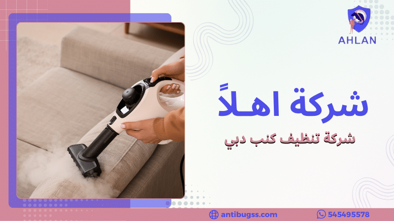 شركة تنظيف كنب دبي