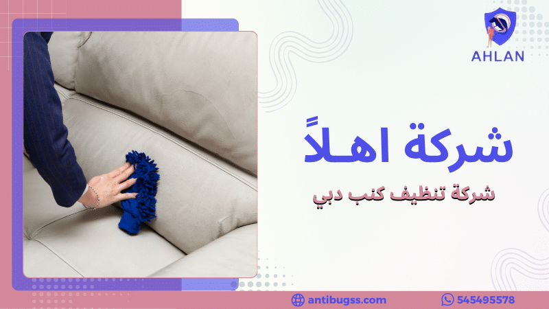 شركة تنظيف كنب دبي