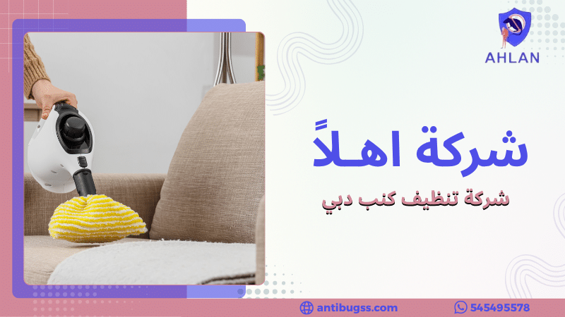 شركة تنظيف كنب دبي