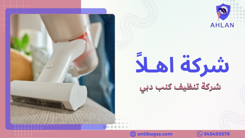 شركة تنظيف كنب دبي