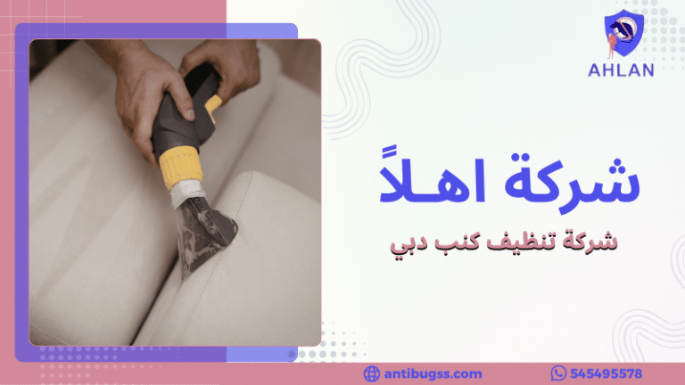 شركة تنظيف كنب دبي