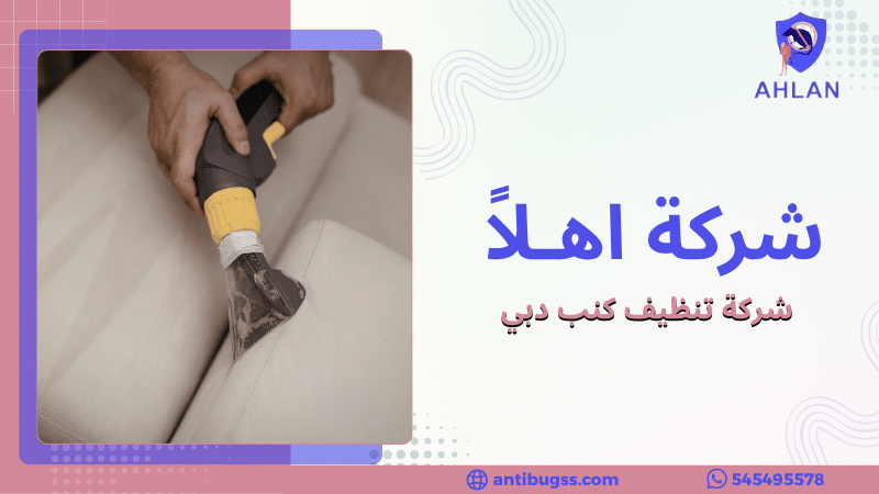 شركة تنظيف كنب دبي