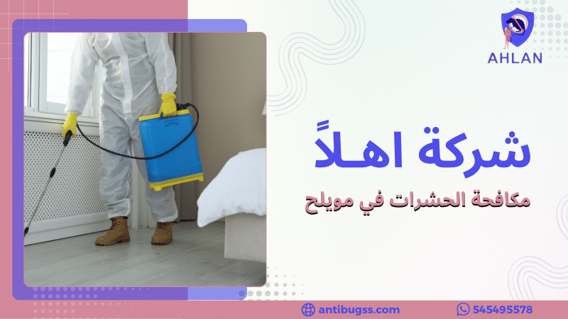 مكافحة الحشرات في مويلح