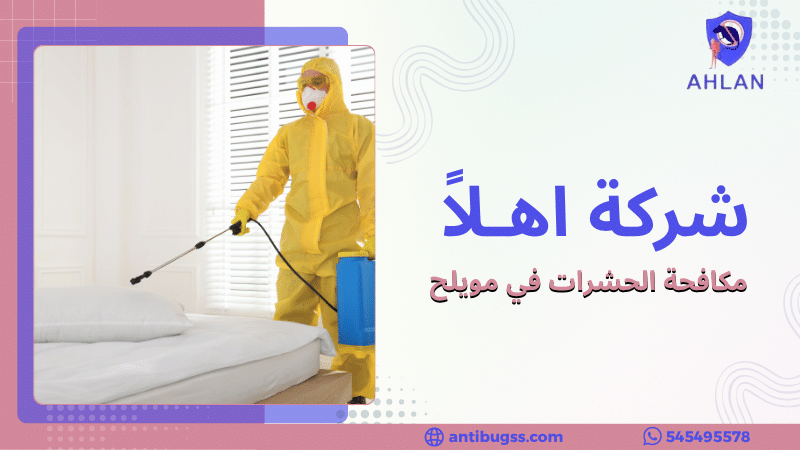 مكافحة الحشرات في مويلح
