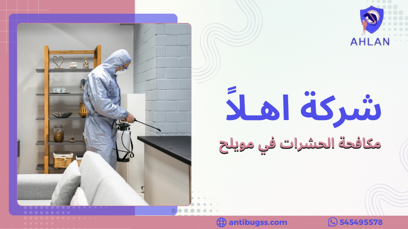 مكافحة الحشرات في مويلح