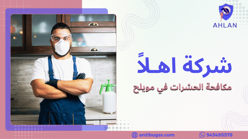 مكافحة الحشرات في مويلح