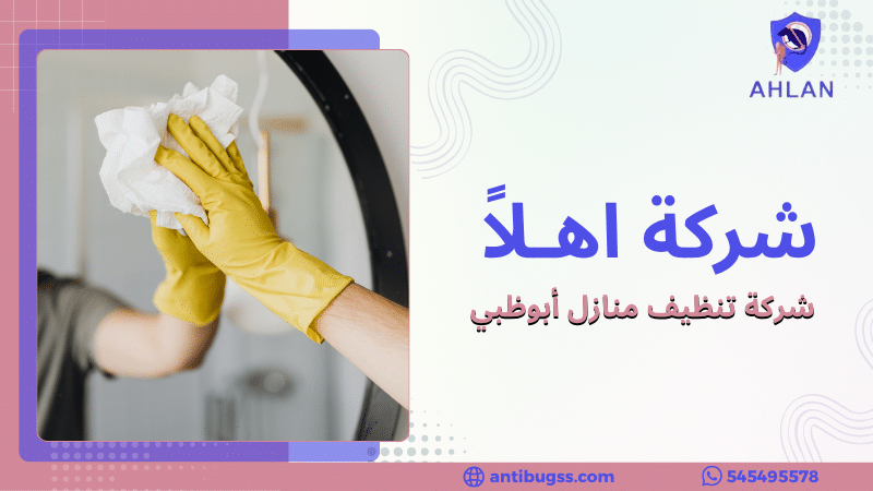 شركة تنظيف منازل أبوظبي