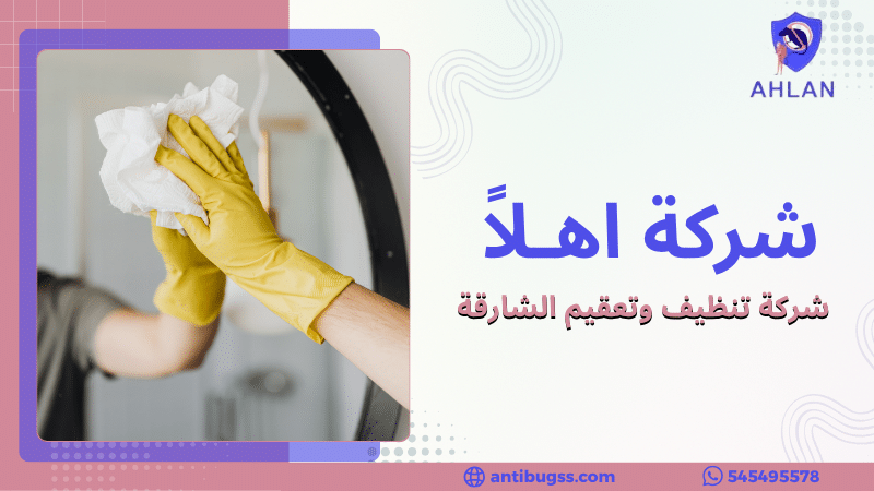 شركة تنظيف وتعقيم الشارقة