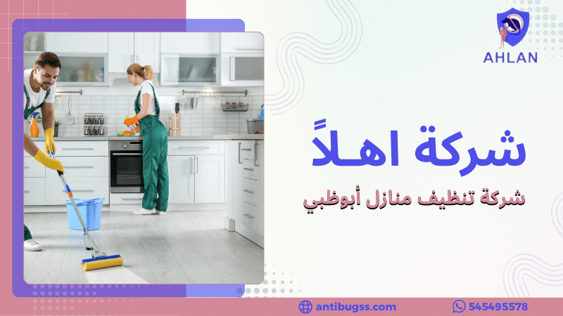 شركة تنظيف منازل أبوظبي