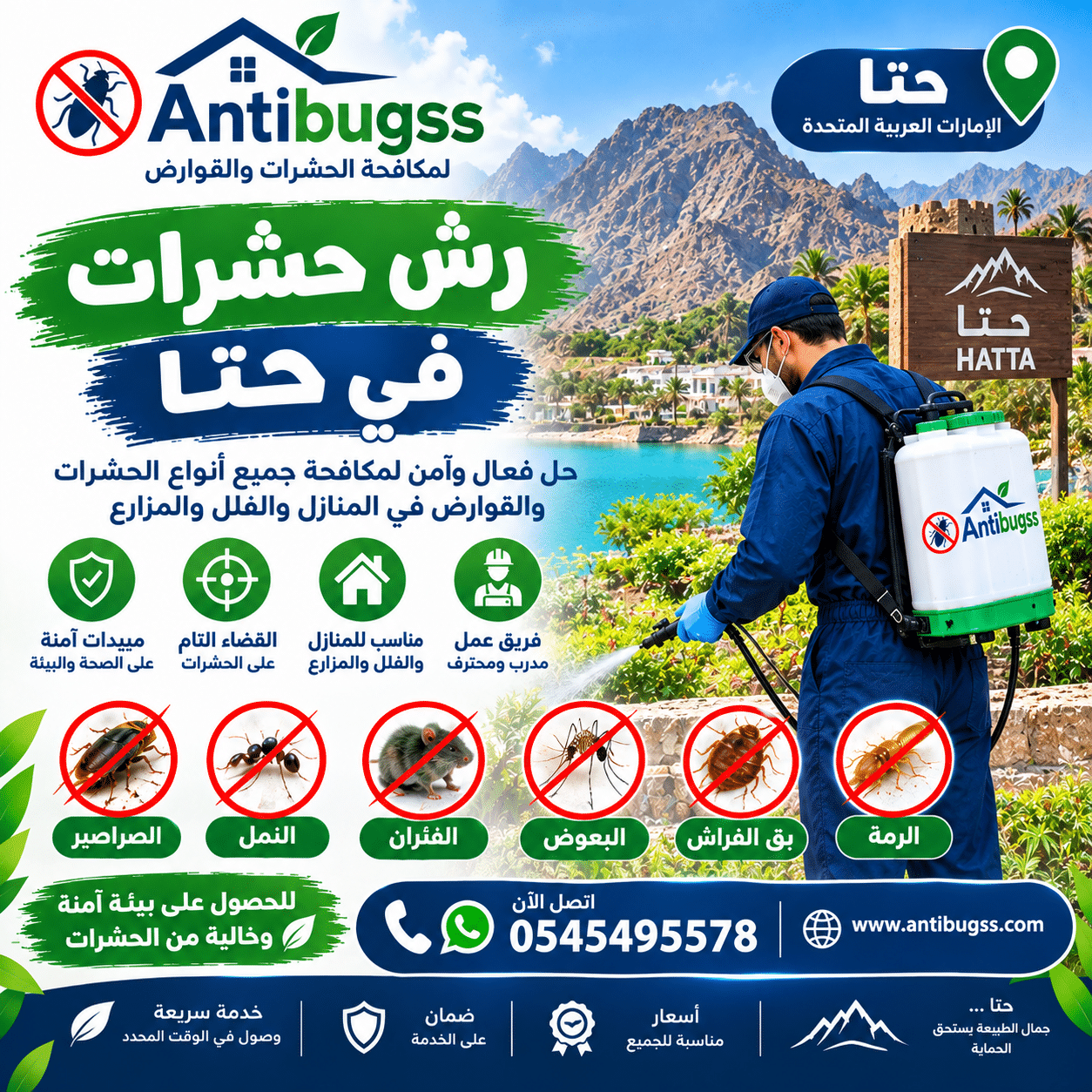 شركة رش حشرات في حتا