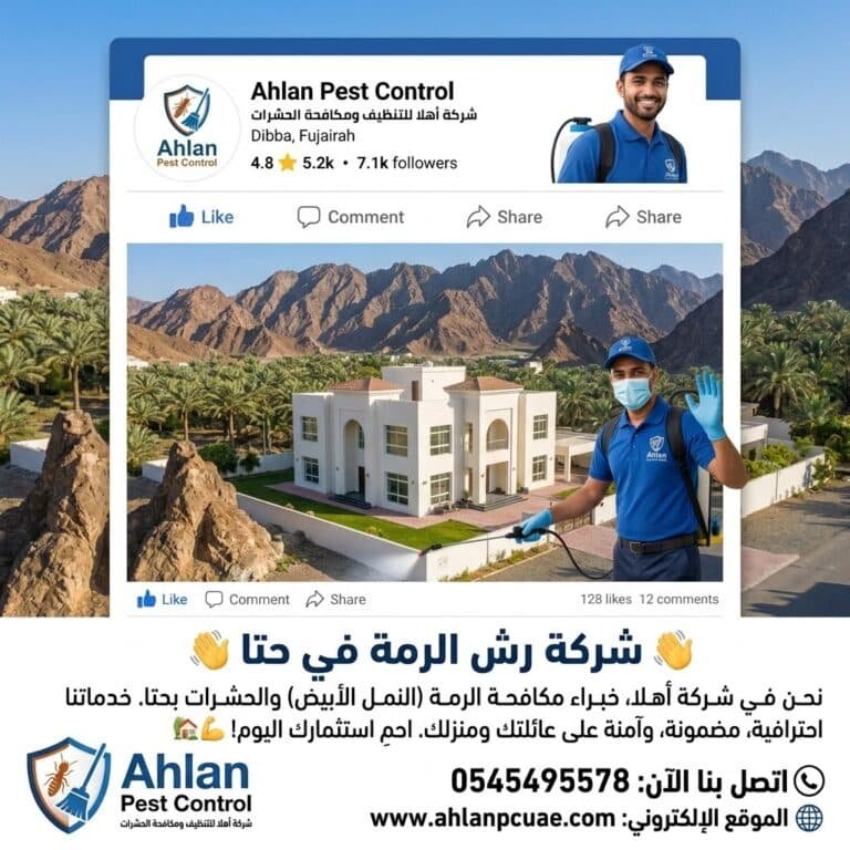 شركة رش الرمة في حتا